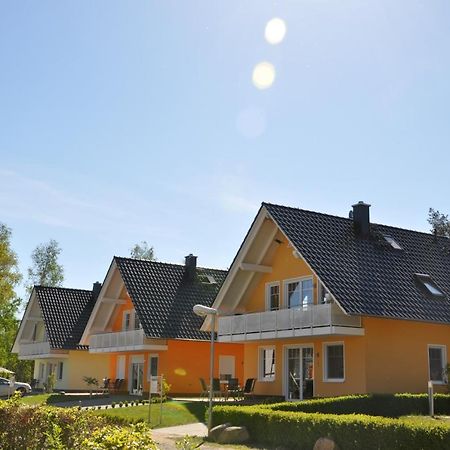 Ferienhaus Mueritzbrise / Eg-Appartement Marienfelde المظهر الخارجي الصورة